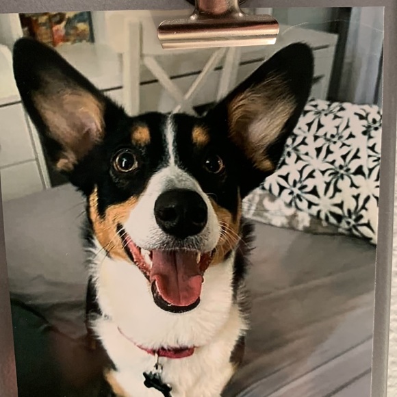 Meet your Posher, Jamie - Picture 13 of 14